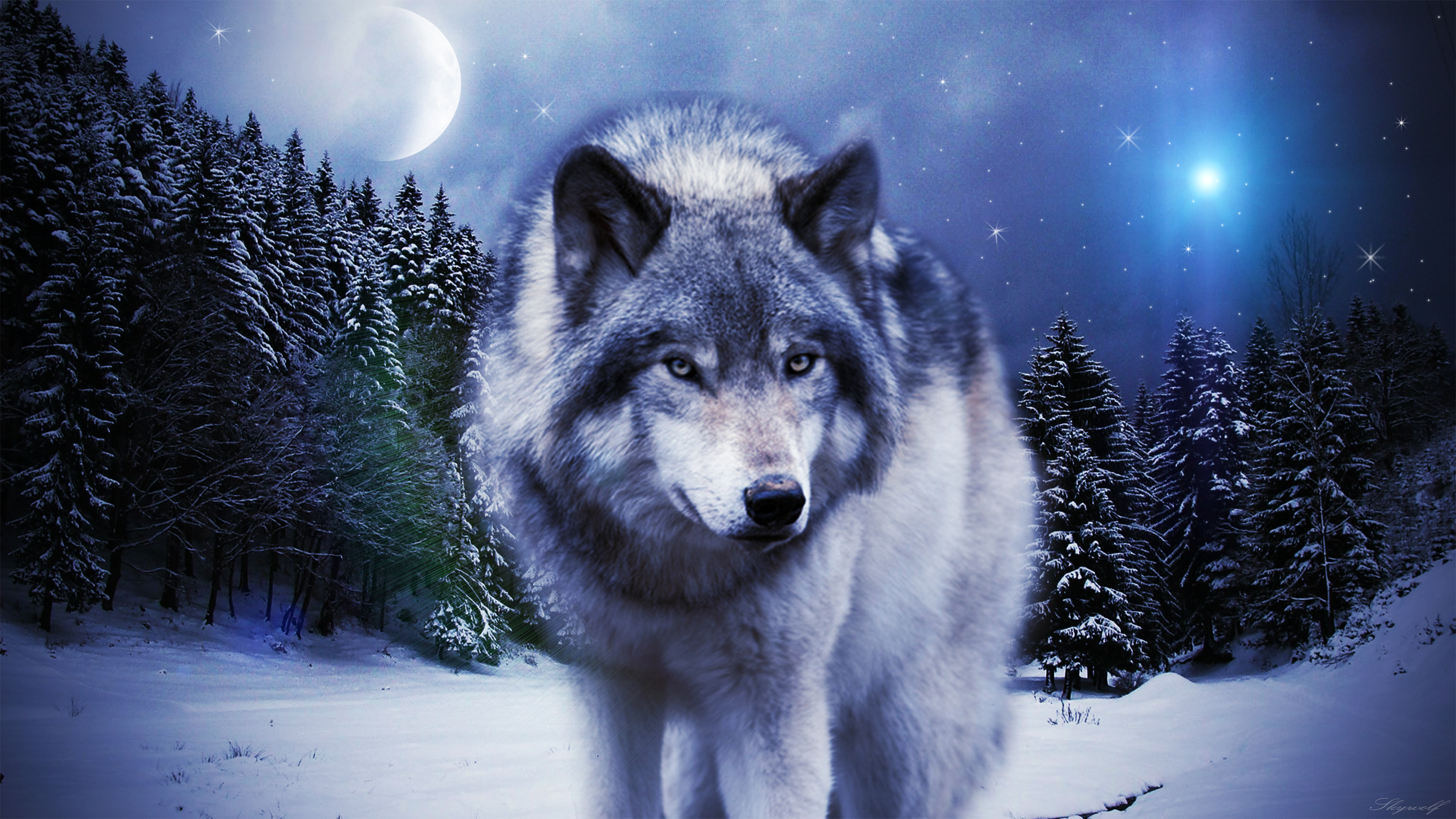 Cool Blue Wolf Wallpapers