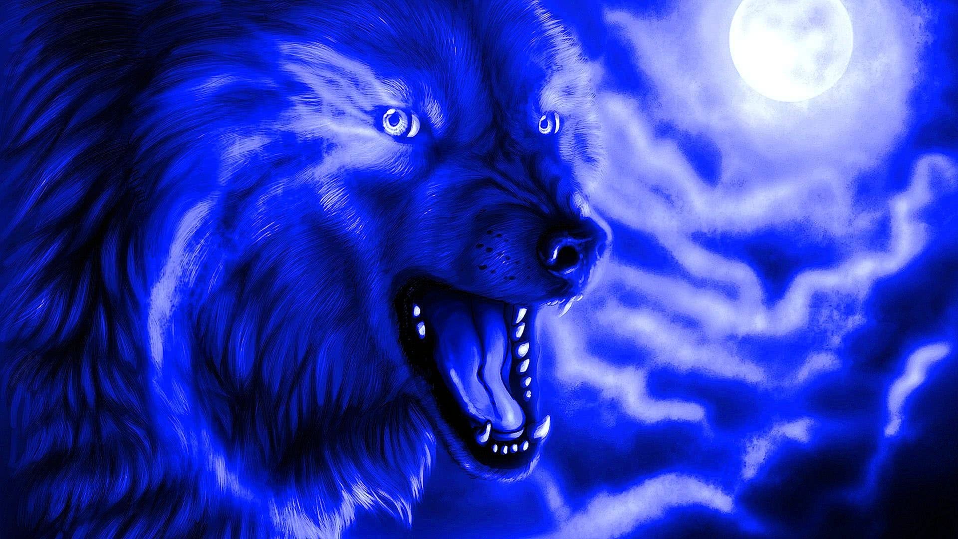 Cool Blue Wolf Wallpapers