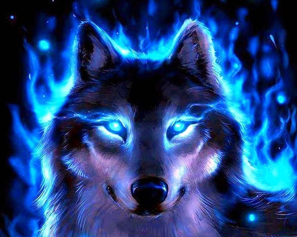 Cool Blue Wolf Wallpapers Wallpapers