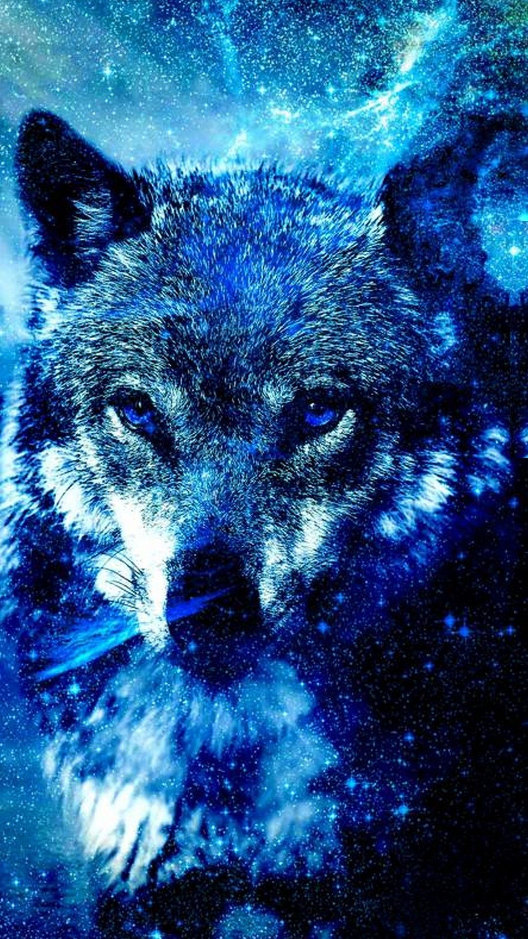 Cool Blue Wolf Wallpapers Wallpapers