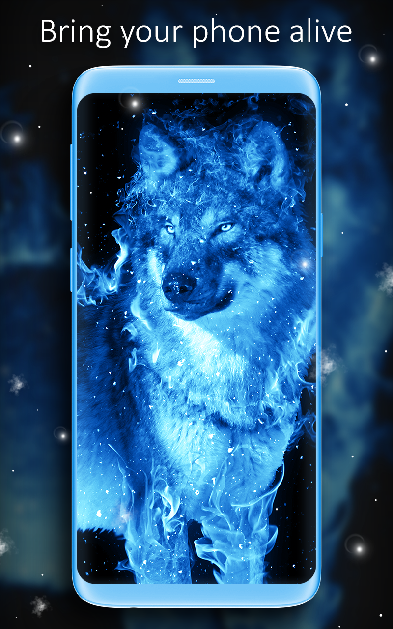 Cool Blue Wolf Wallpapers Wallpapers