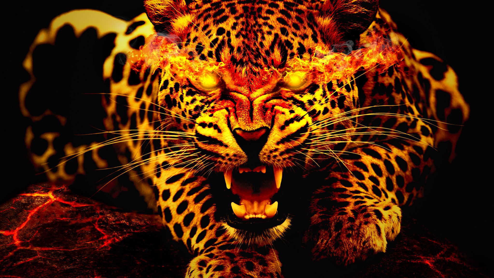 Cool Cheetah Wallpapers