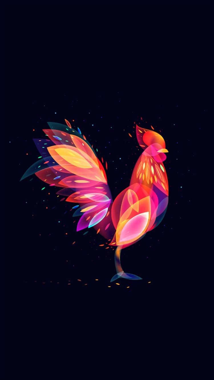 Cool Chicken Wallpapers