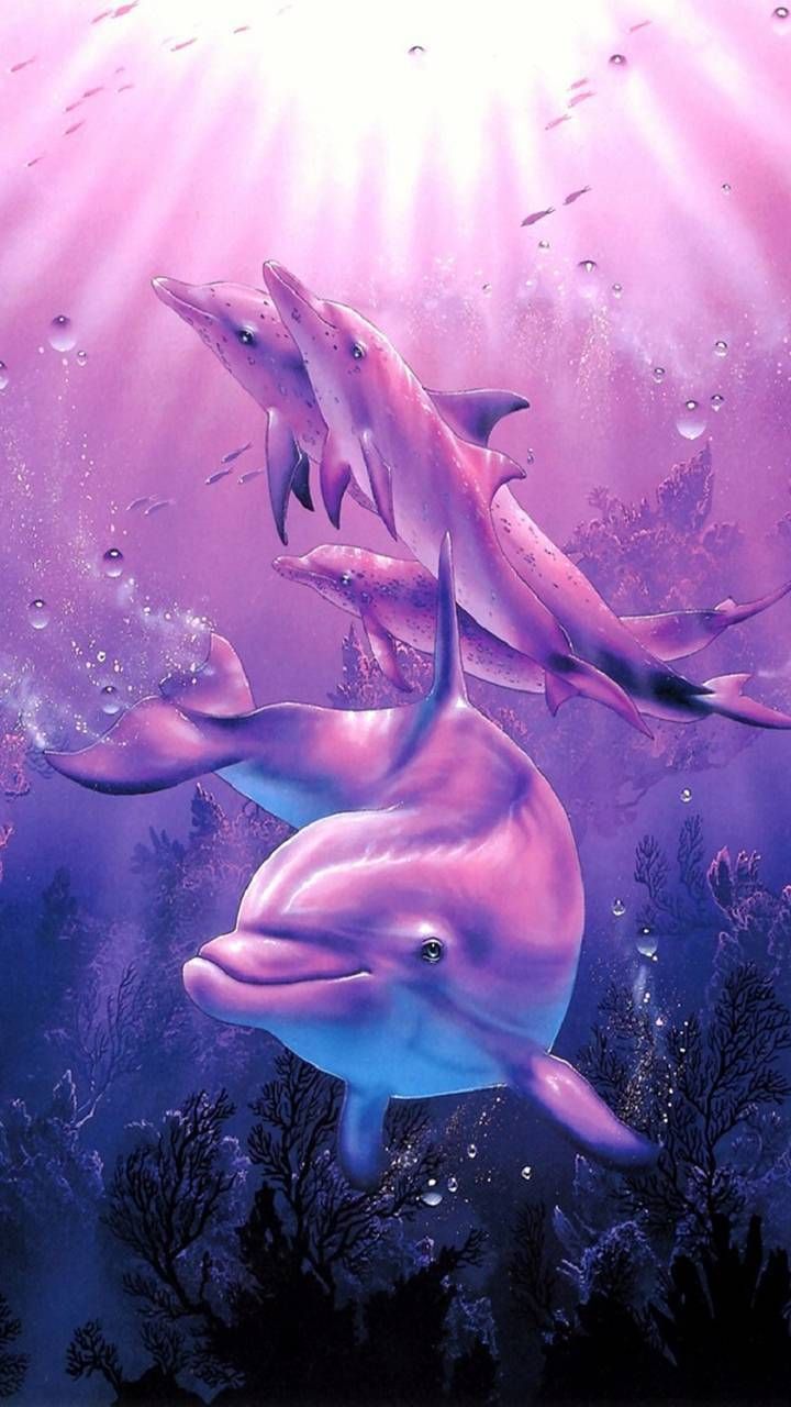 Cool Dolphin Wallpapers