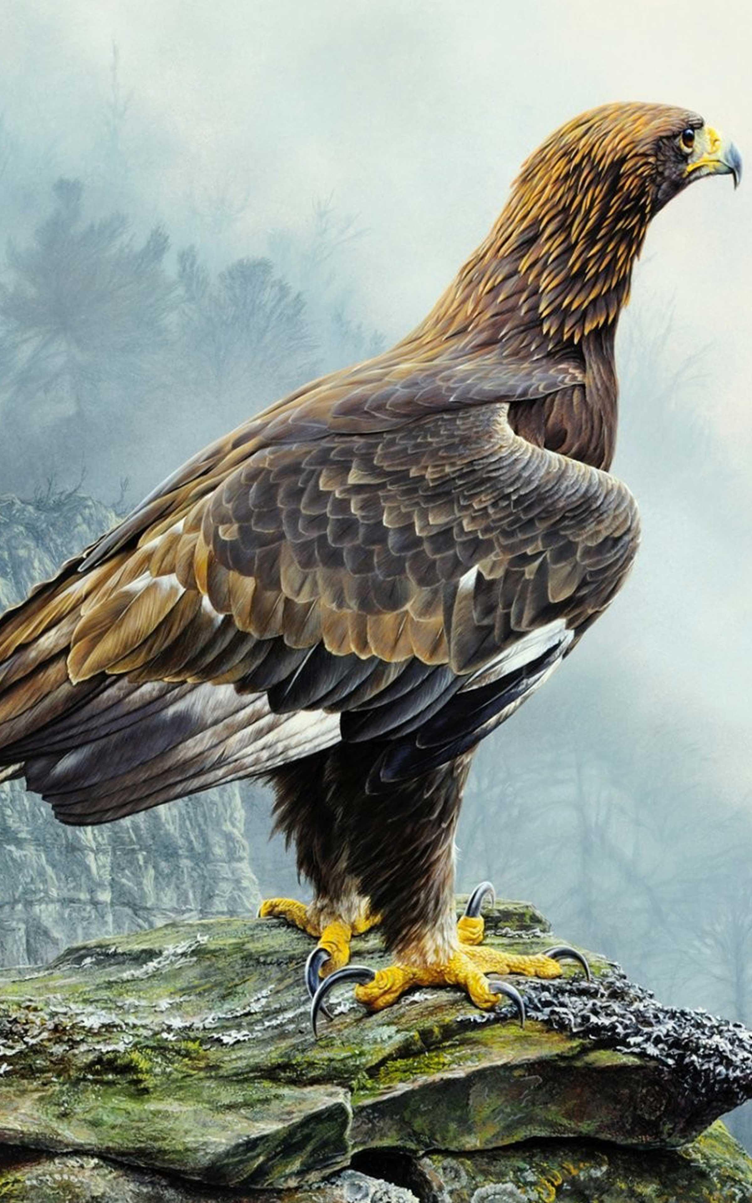 Cool Eagle Wallpapers