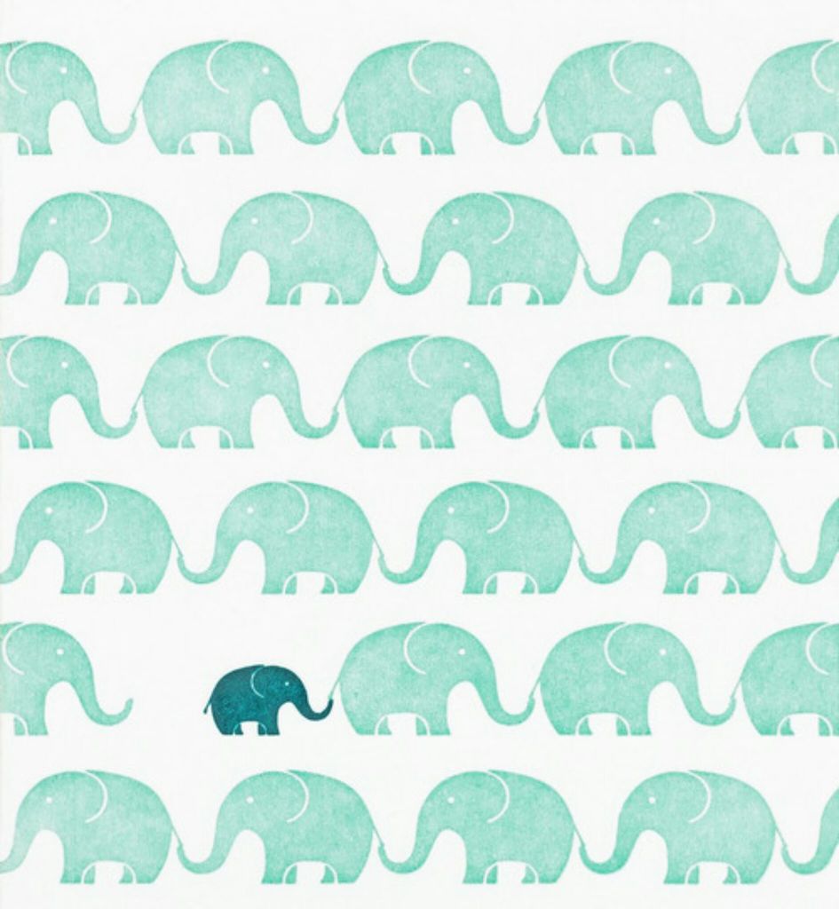 Cool Elephant Phone Wallpapers