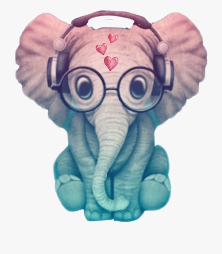 Cool Elephant Phone Wallpapers