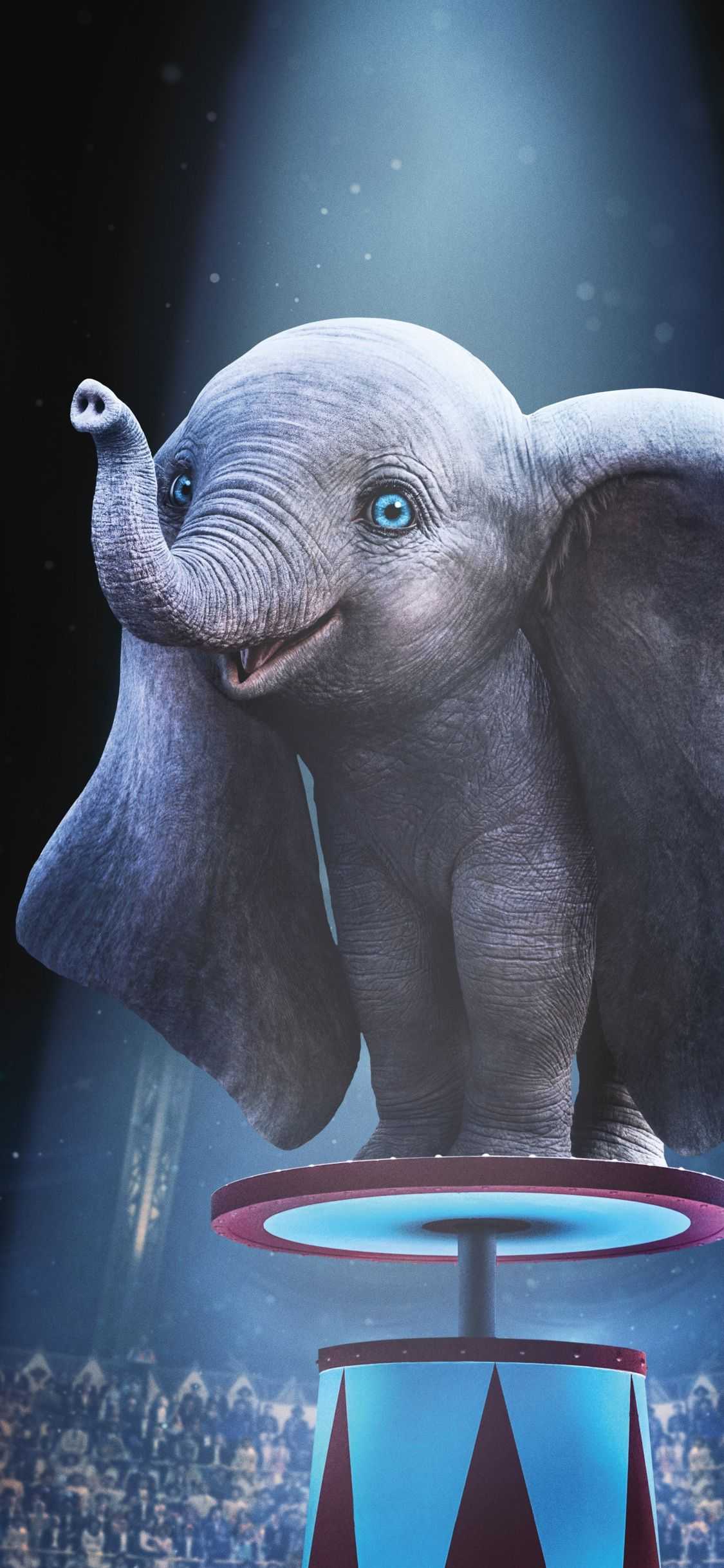 Cool Elephant Phone Wallpapers