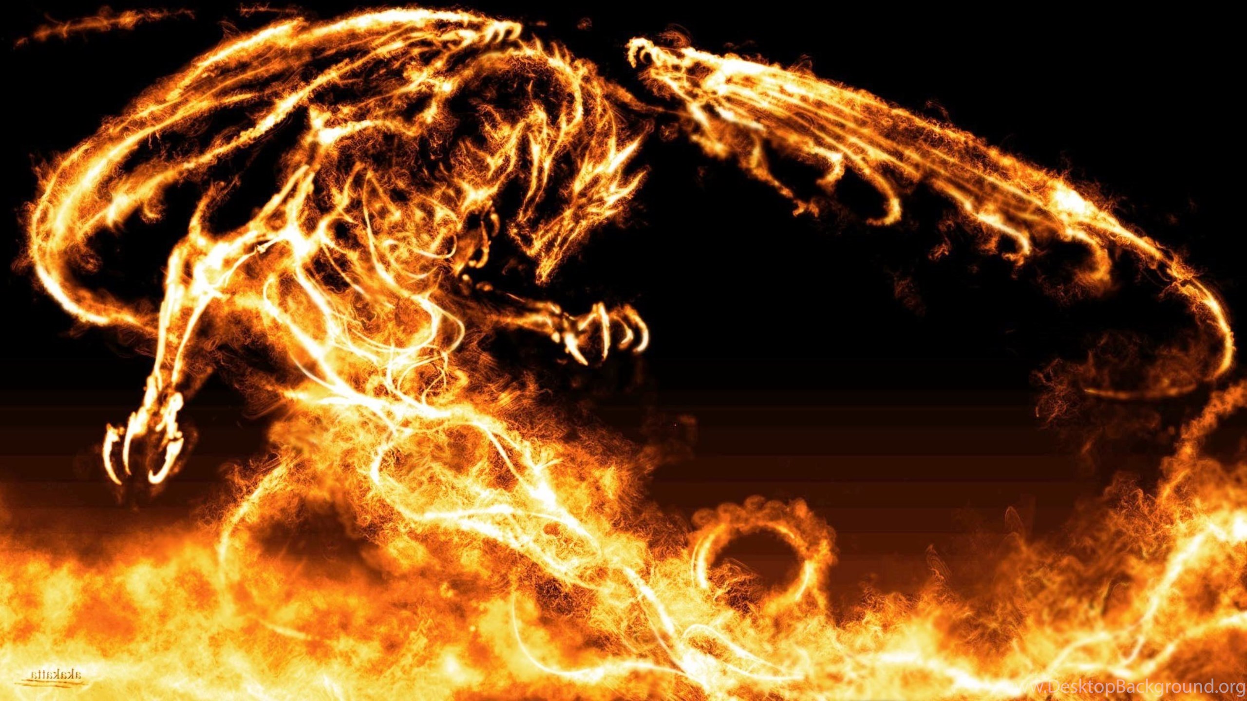Cool Fire Dragon Wallpapers