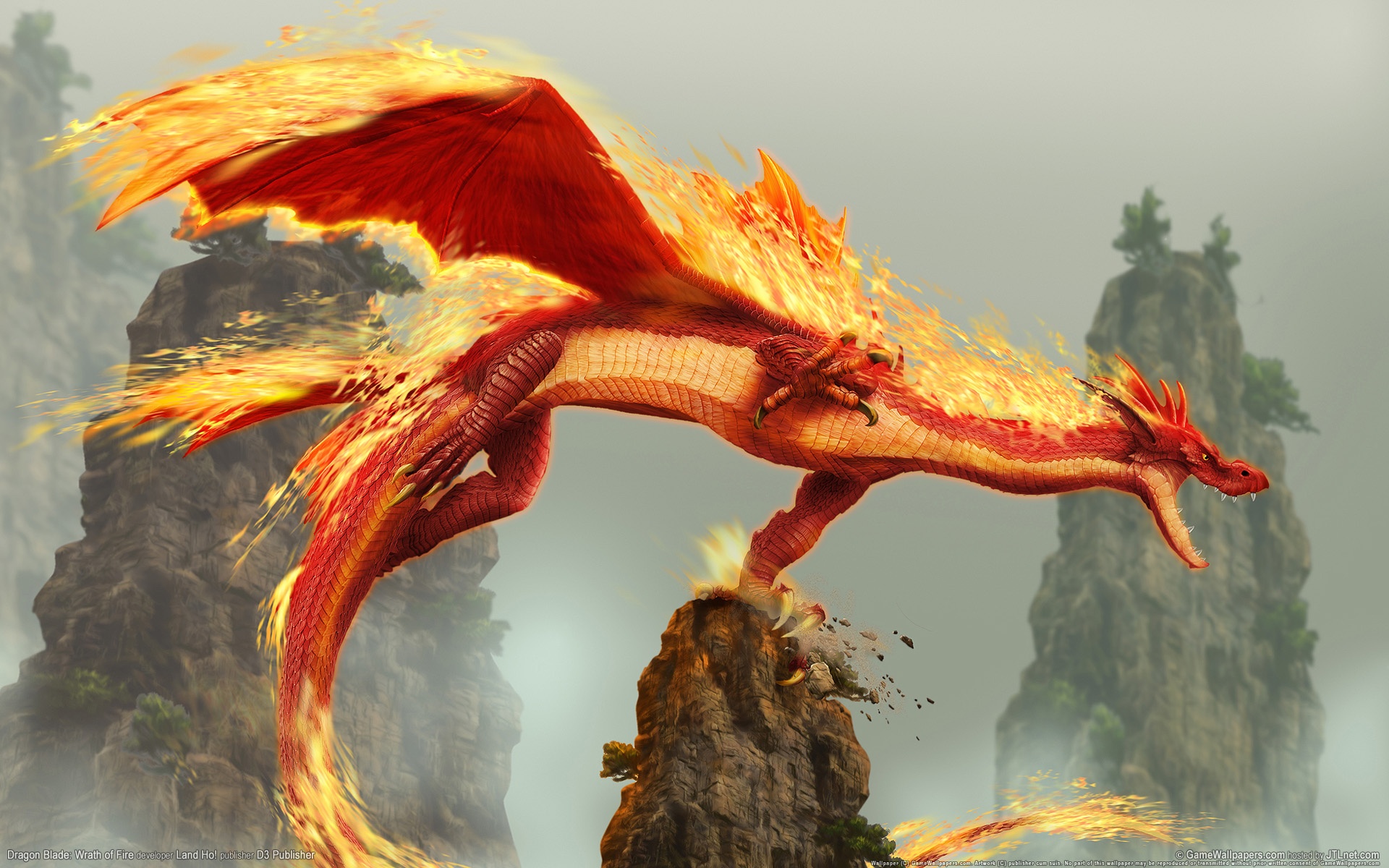 Cool Fire Dragon Wallpapers