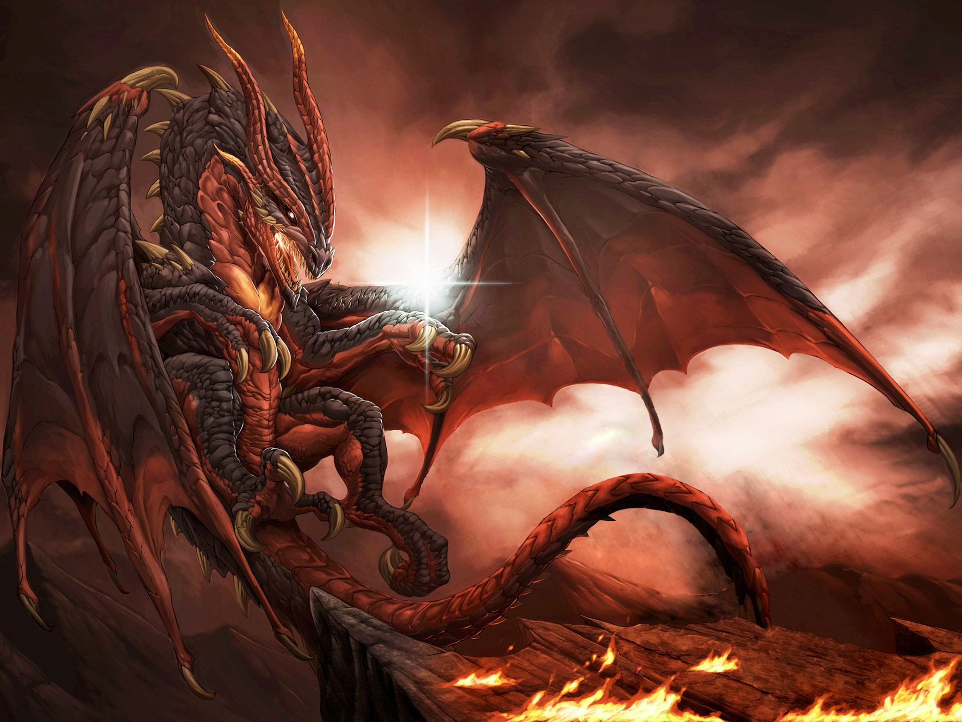 Cool Fire Dragon Wallpapers