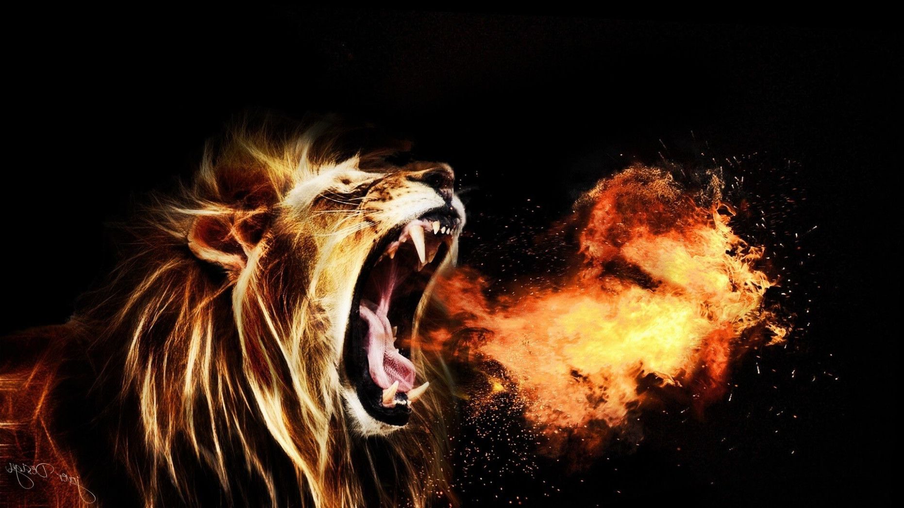 Cool Fire Lion Wallpapers
