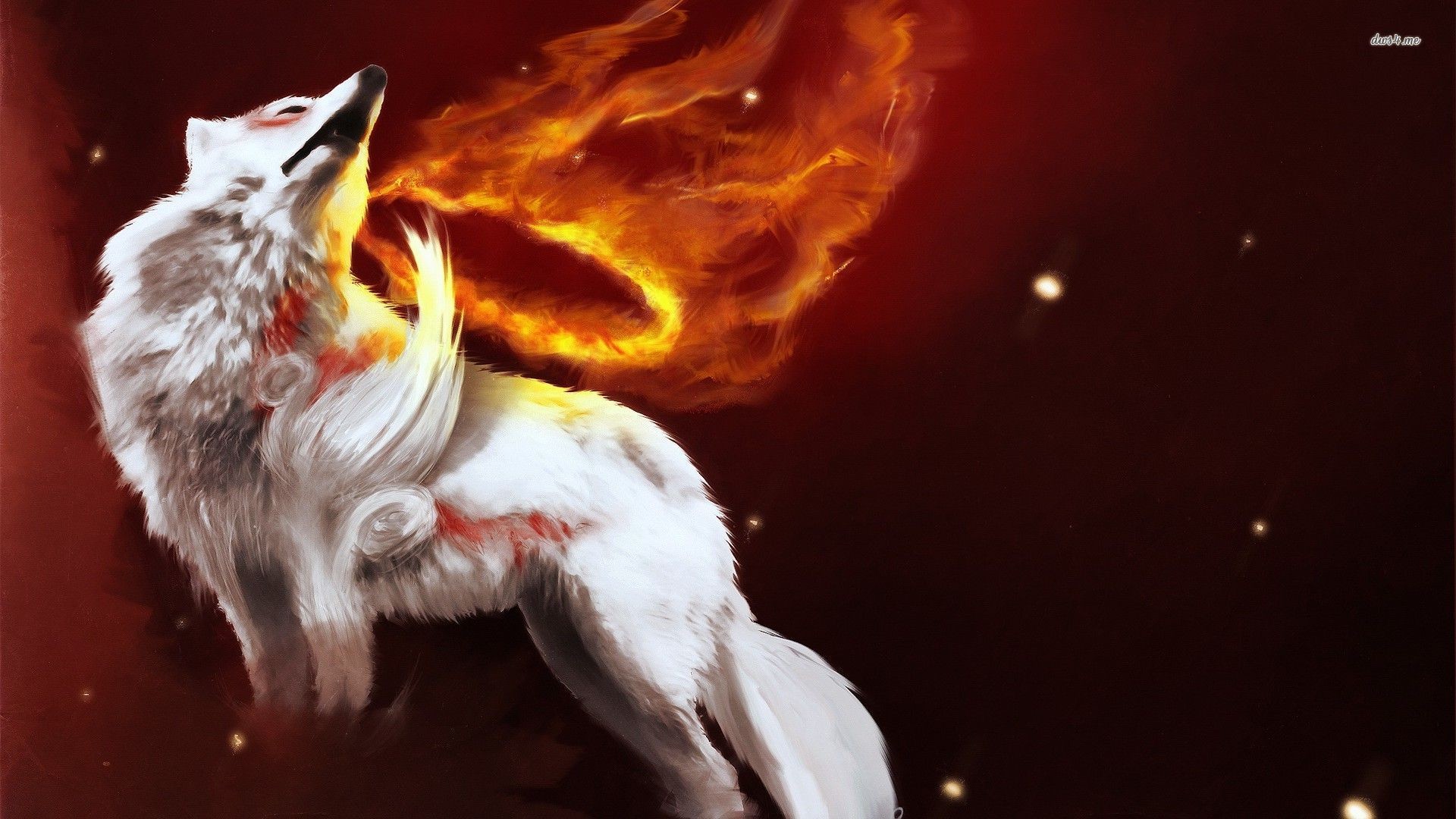 Cool Fire Wolf Wallpapers Wallpapers