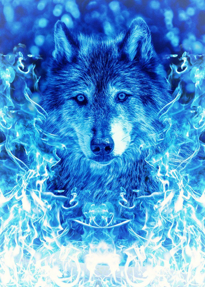 Cool Fire Wolf Wallpapers Wallpapers