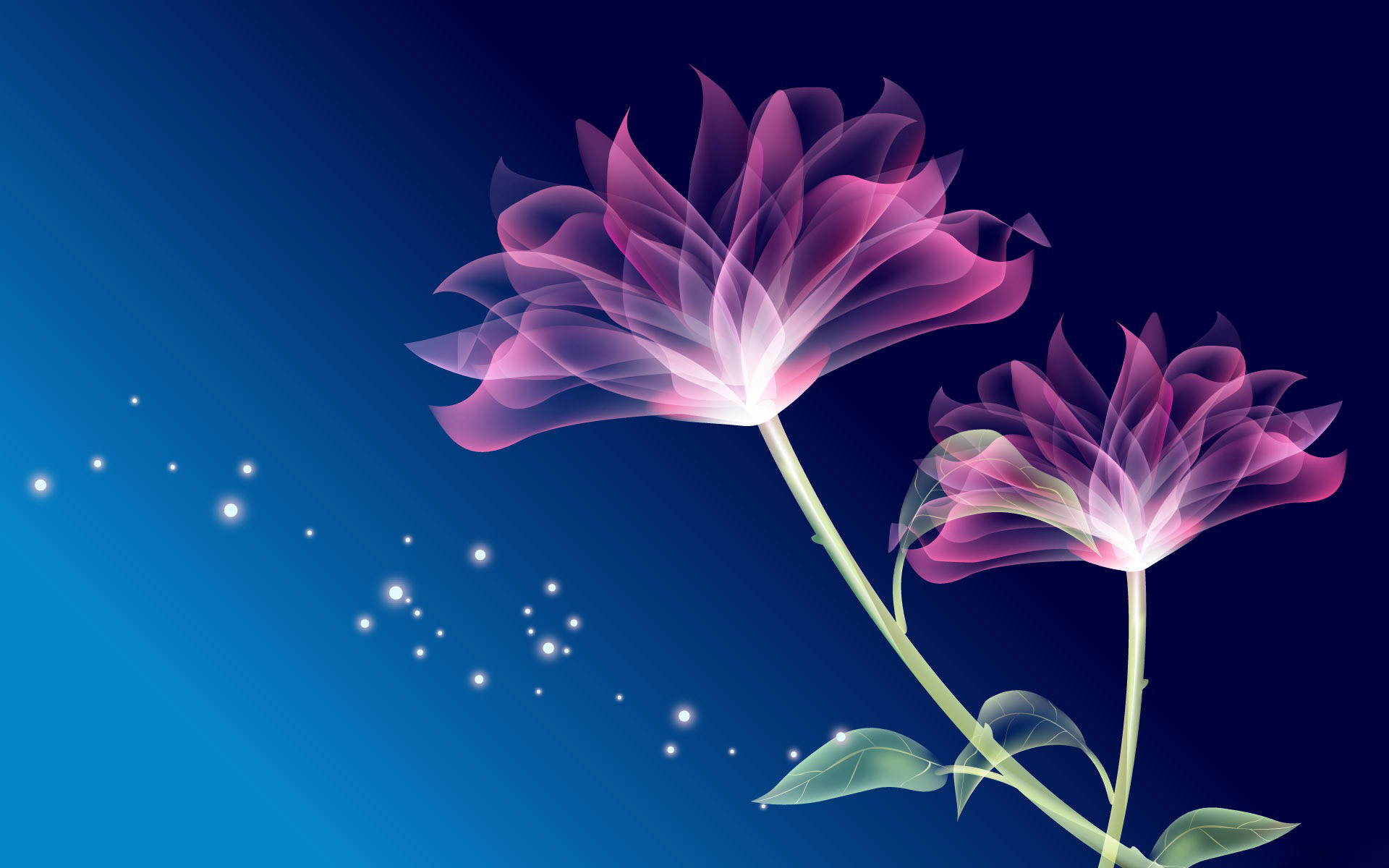 Cool Flower Wallpapers