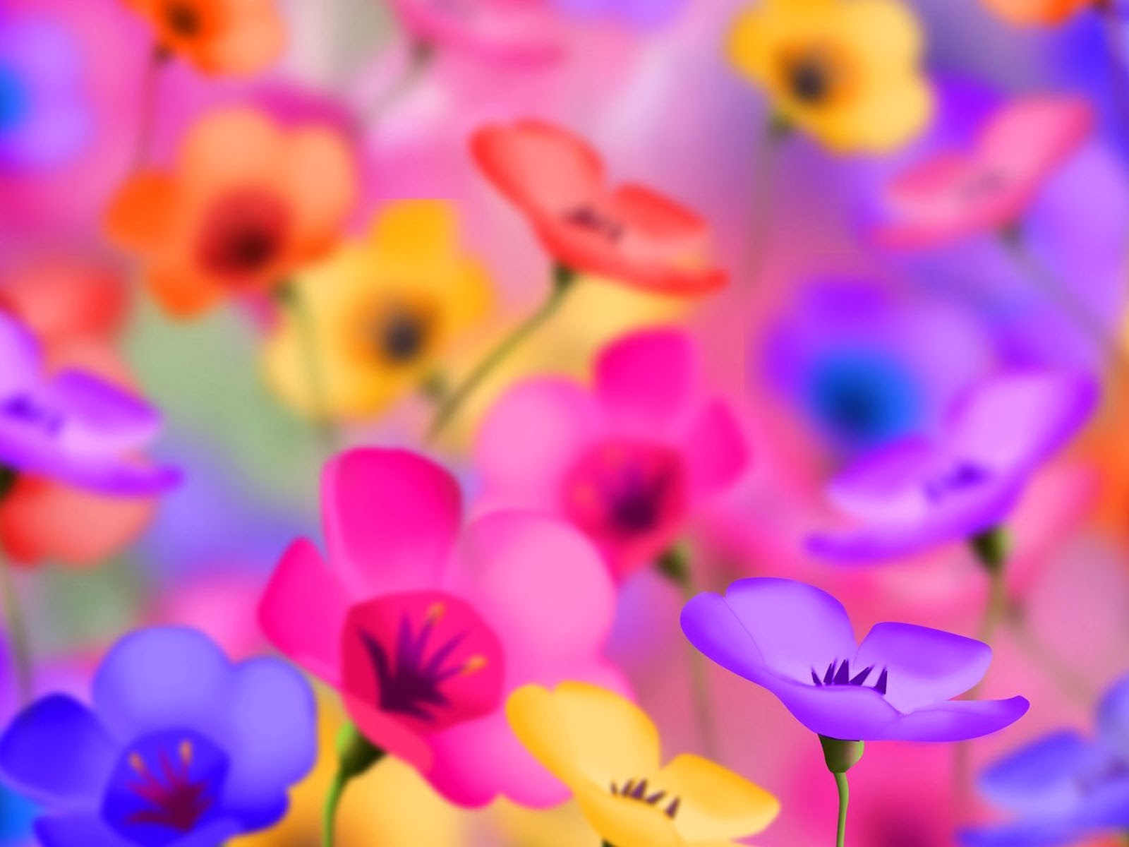 Cool Flower Wallpapers Wallpapers