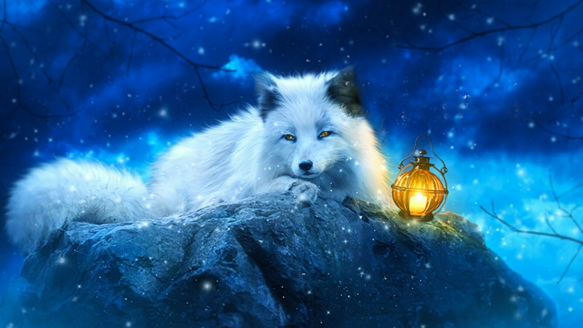 Cool Fox Wallpapers