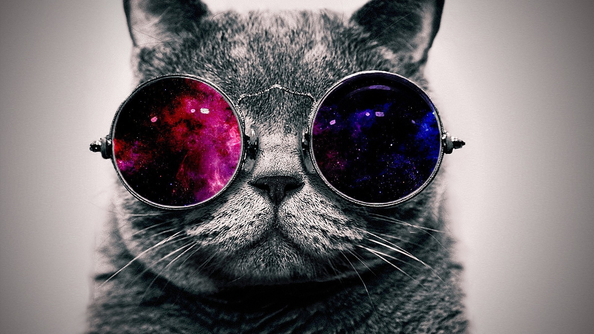 Cool Galaxy Cat Wallpapers