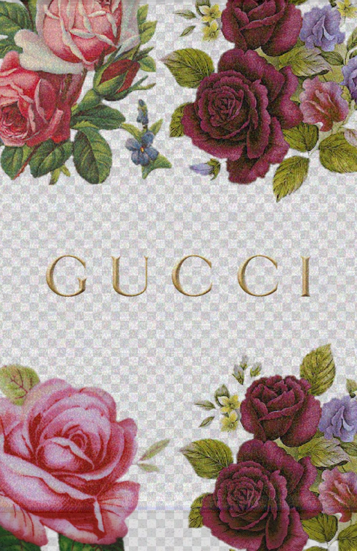 Cool Golden Gucci Wallpapers Wallpapers