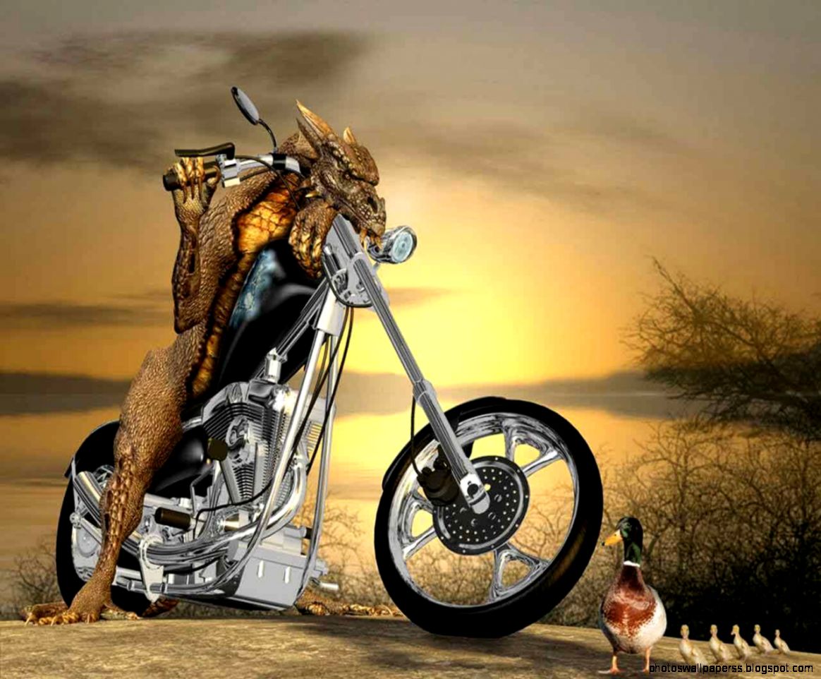 Cool Harley Davidson Wallpapers