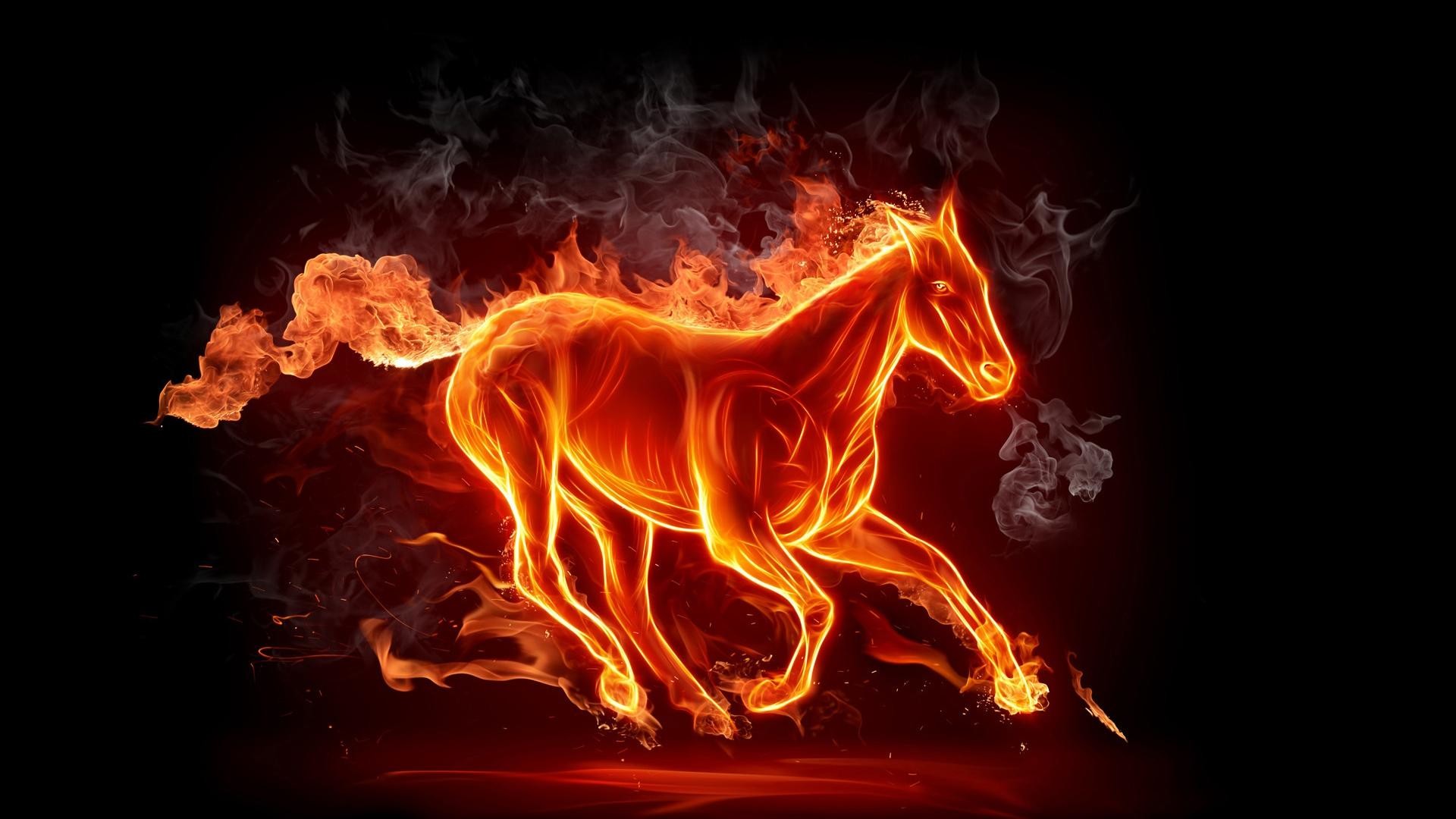 Cool Horse Wallpapers