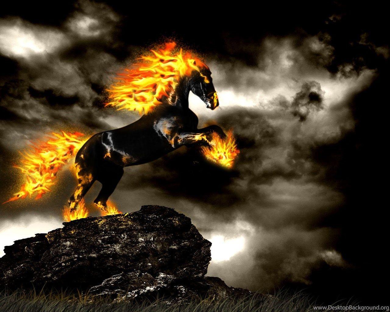 Cool Horse Wallpapers