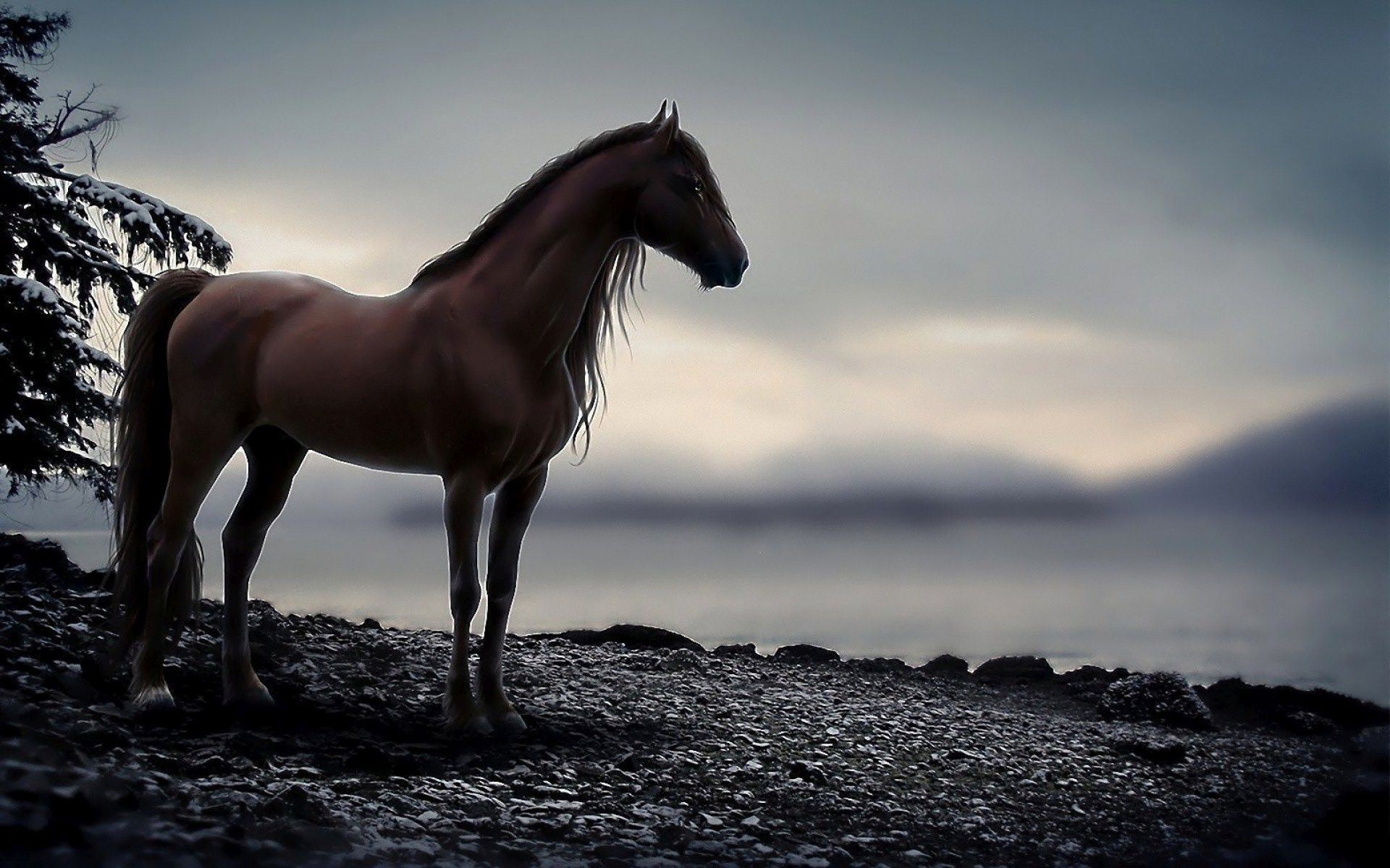 Cool Horse Desktop Wallpapers