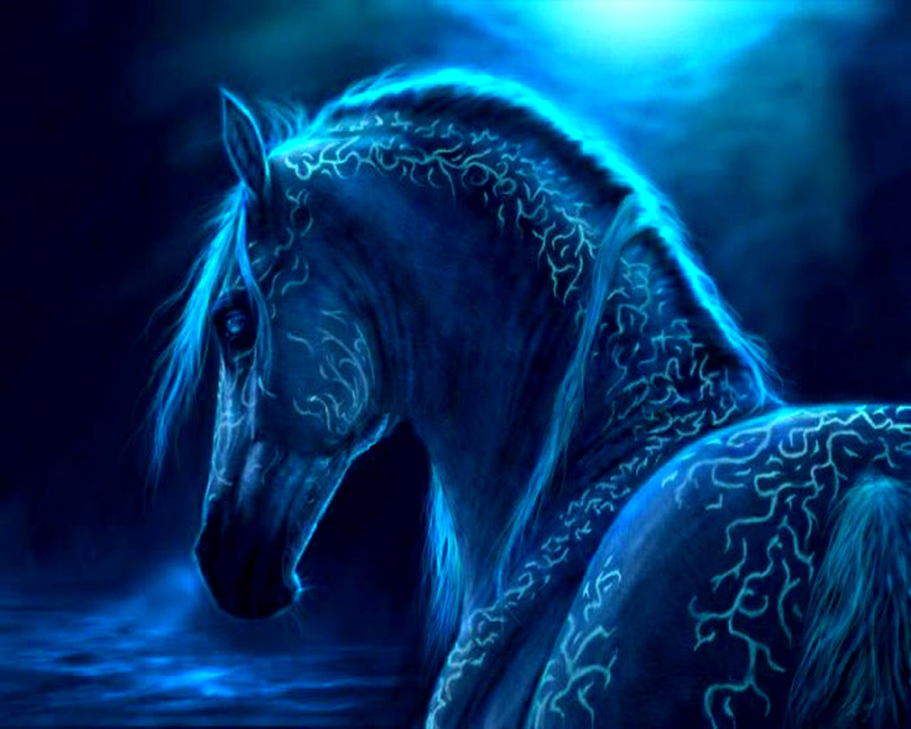 Cool Horse Desktop Wallpapers