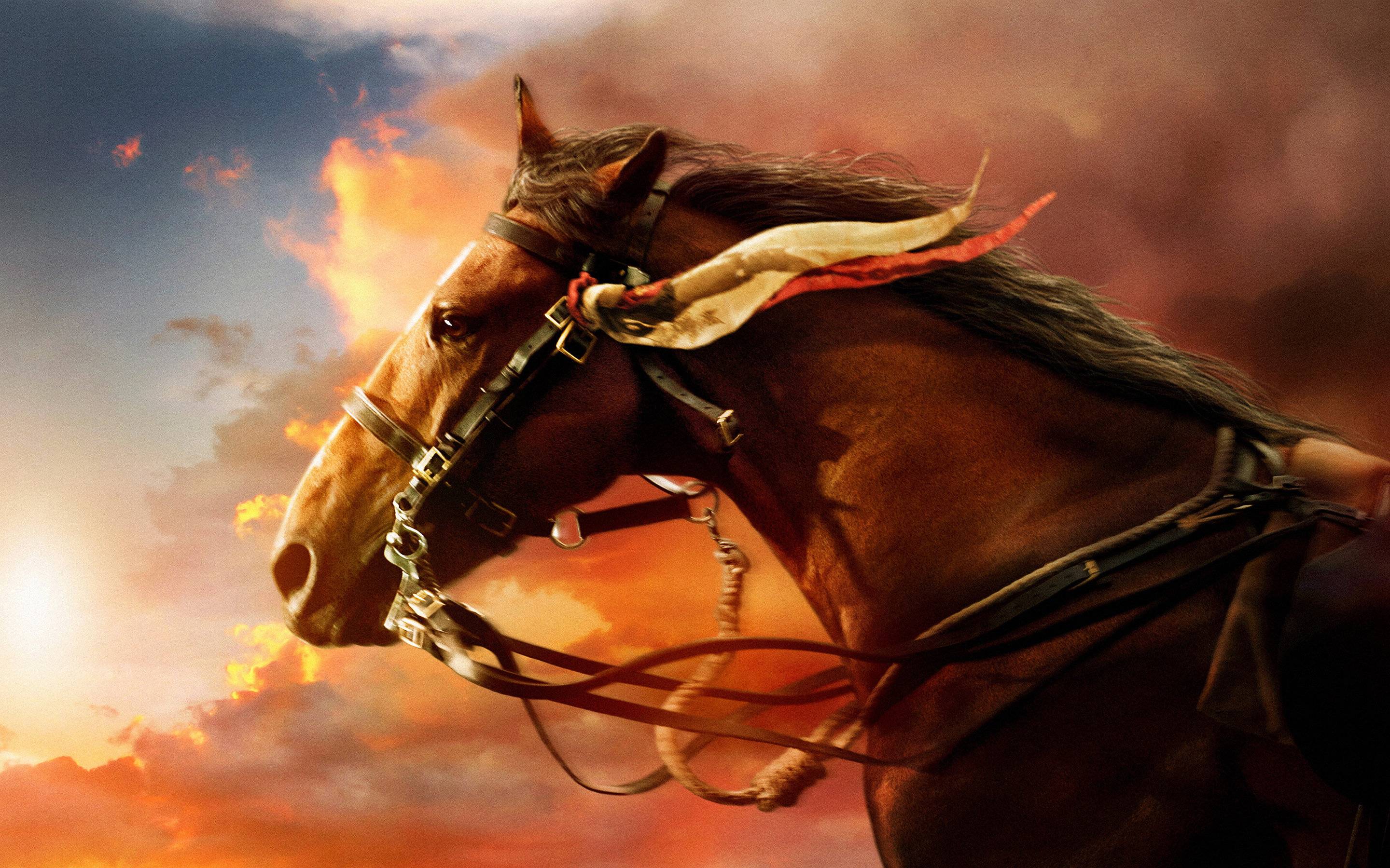 Cool Horse Desktop Wallpapers