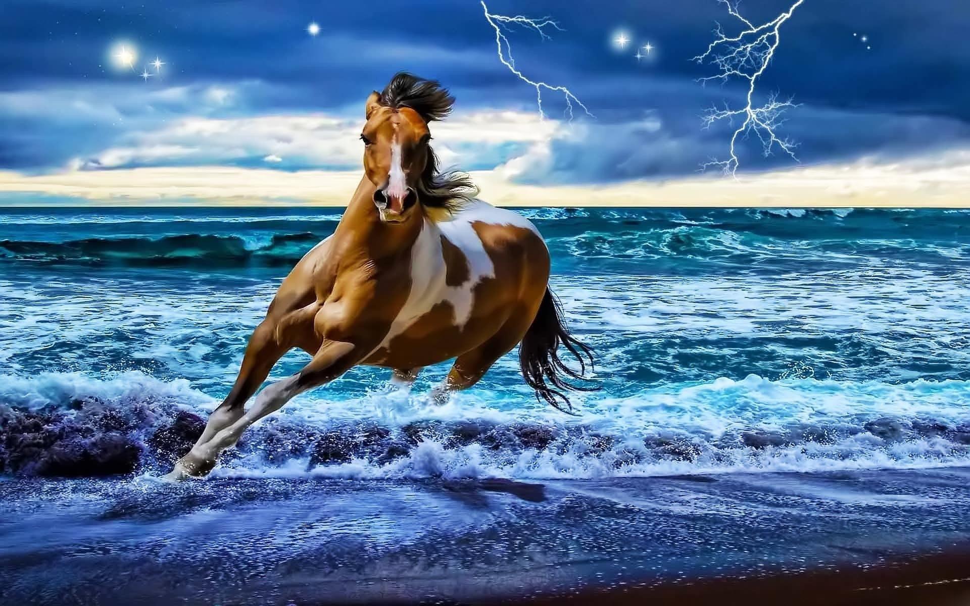 Cool Horse Desktop Wallpapers