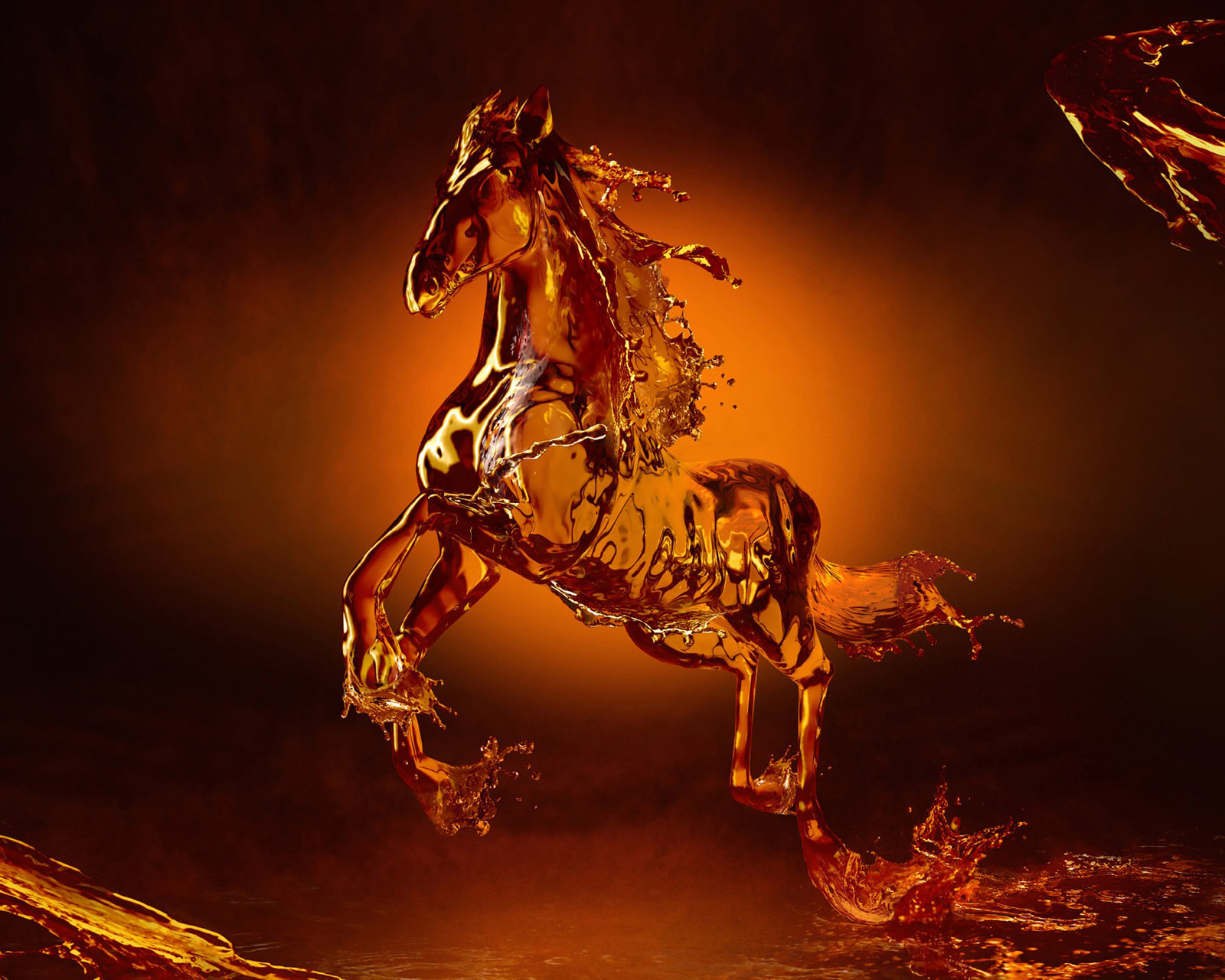 Cool Horse Desktop Wallpapers