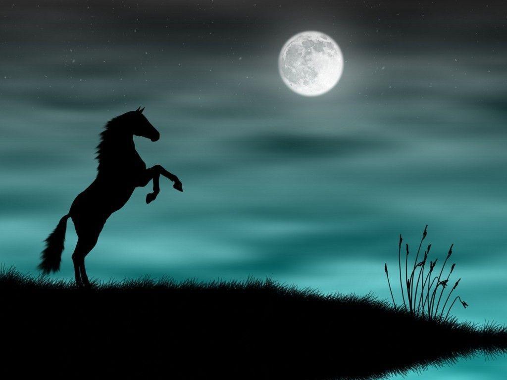 Cool Horse Desktop Wallpapers