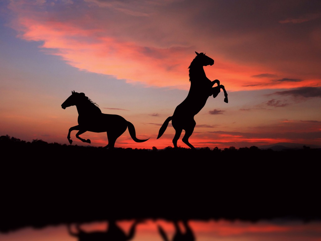 Cool Horse Desktop Wallpapers