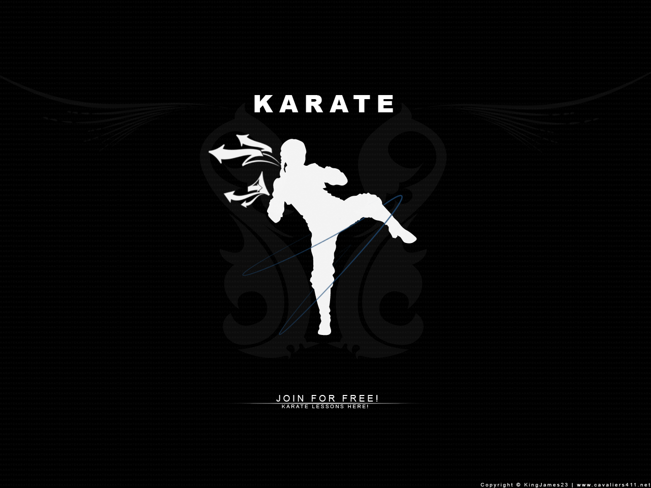 Cool Karate Wallpapers