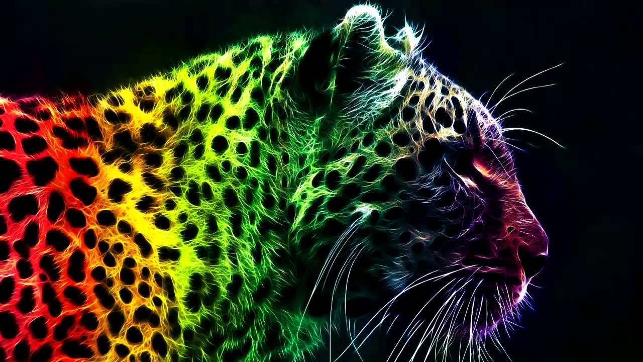 Cool Leopard Wallpapers