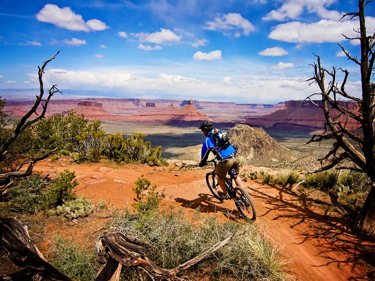 Cool Mountain Biking Wallpapers