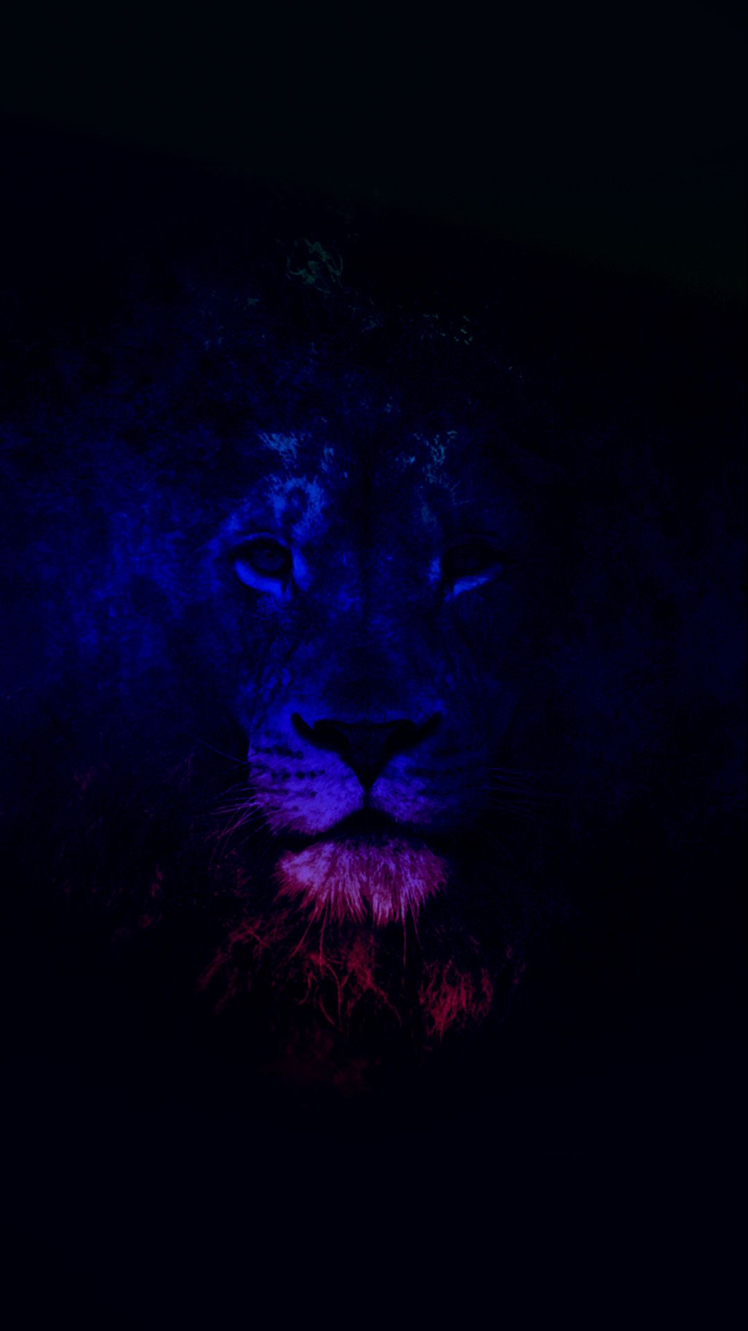 Cool Neon Lion Wallpapers