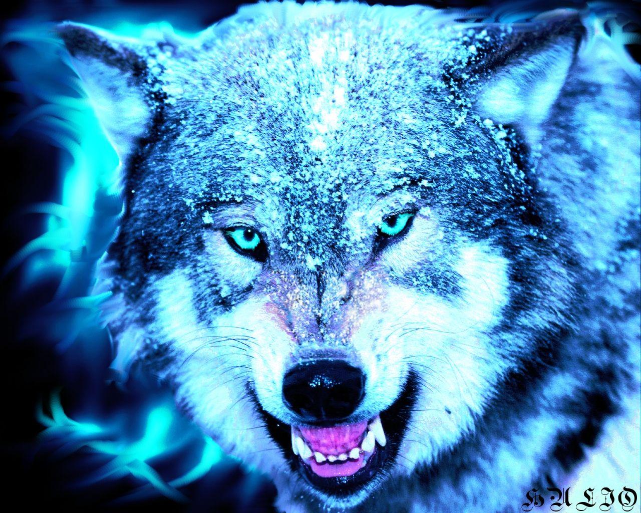 Cool Neon Wolves Wallpapers Wallpapers