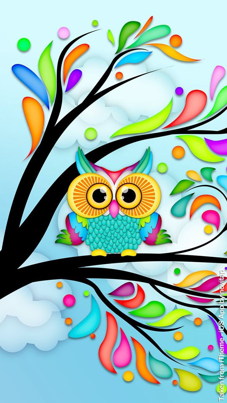 Cool Owl Wallpapers