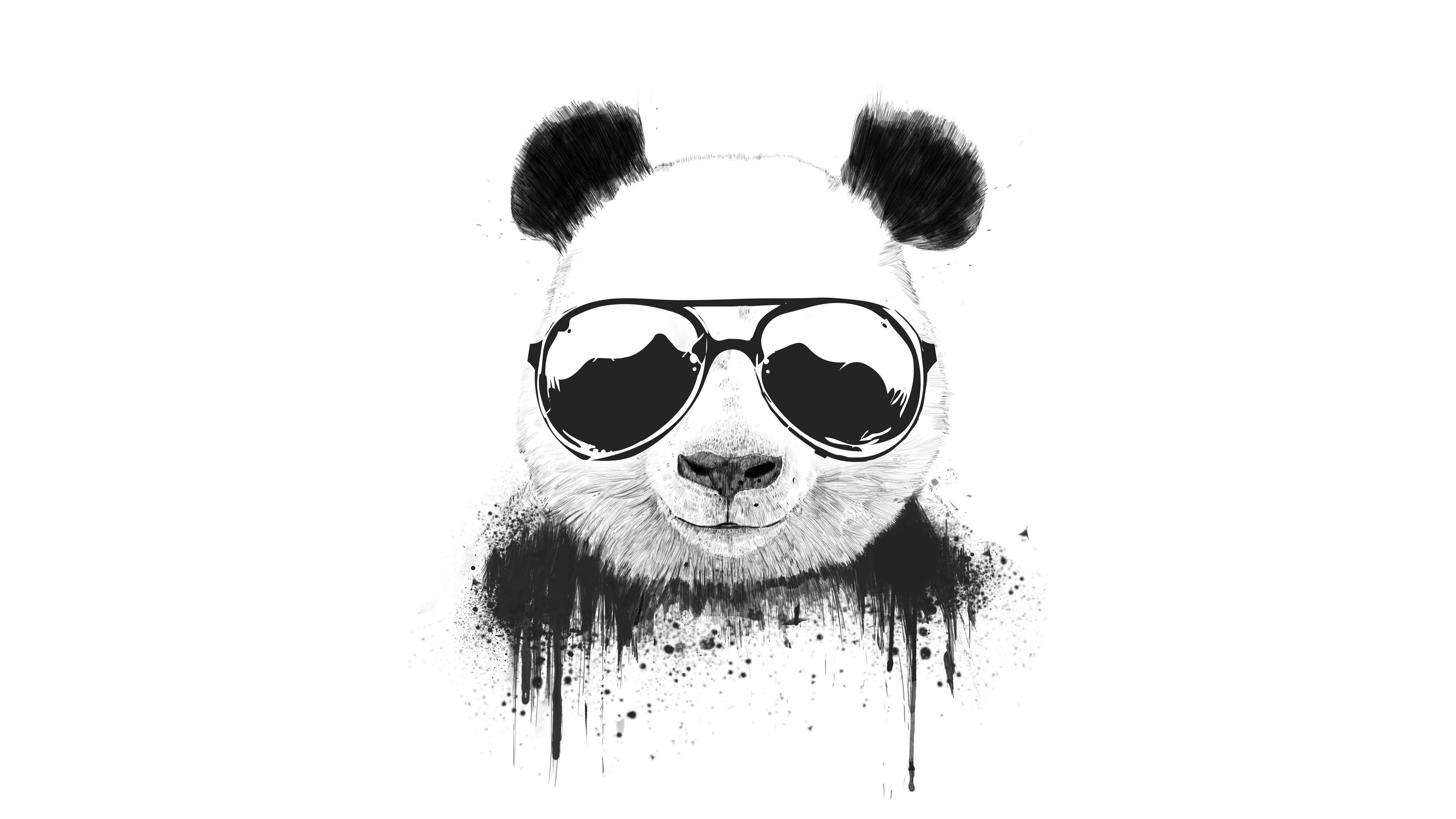 Cool Panda Wallpapers