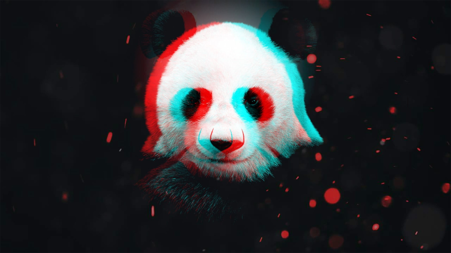 Cool Panda Wallpapers Wallpapers