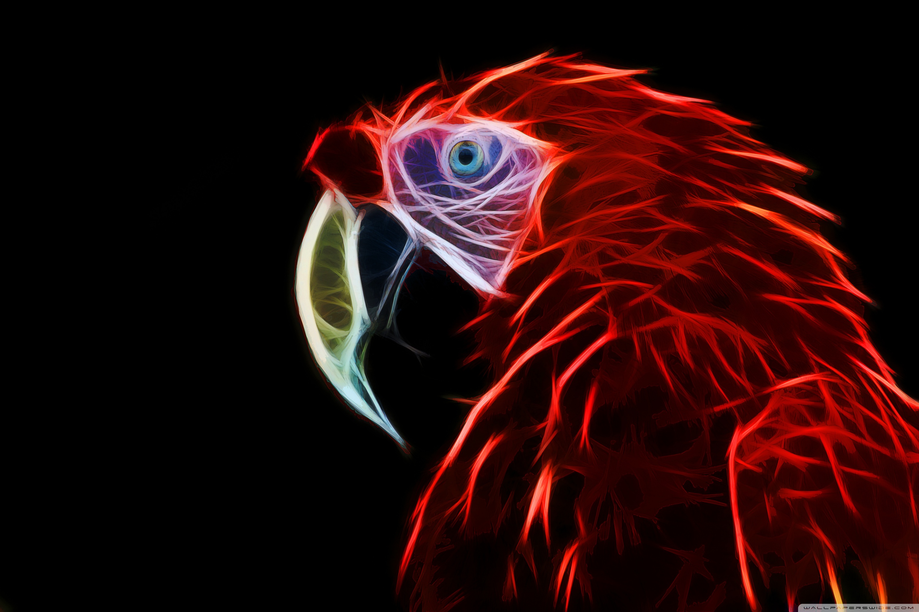 Cool Parrot Wallpapers