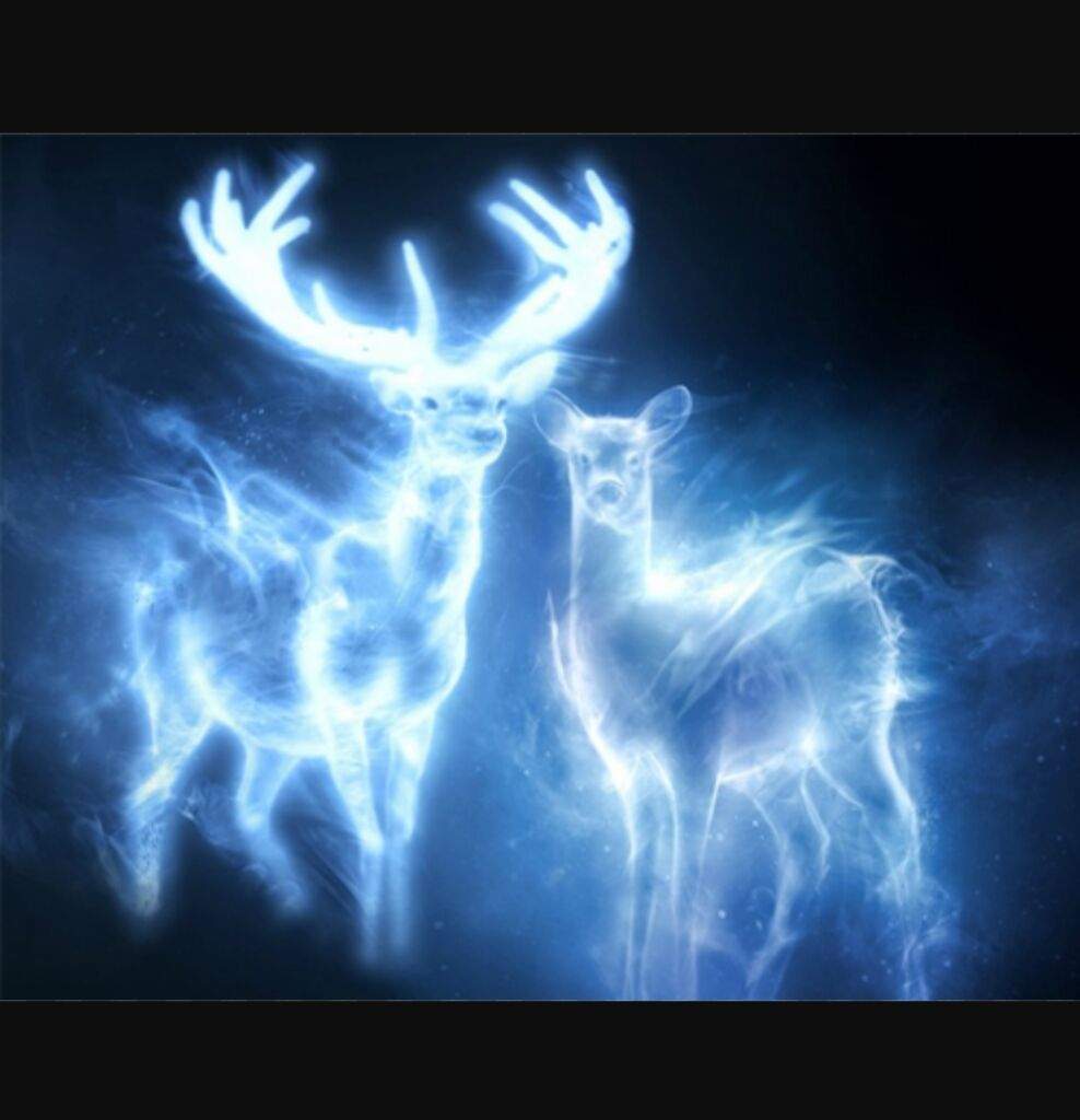 Cool Patronus Wallpapers