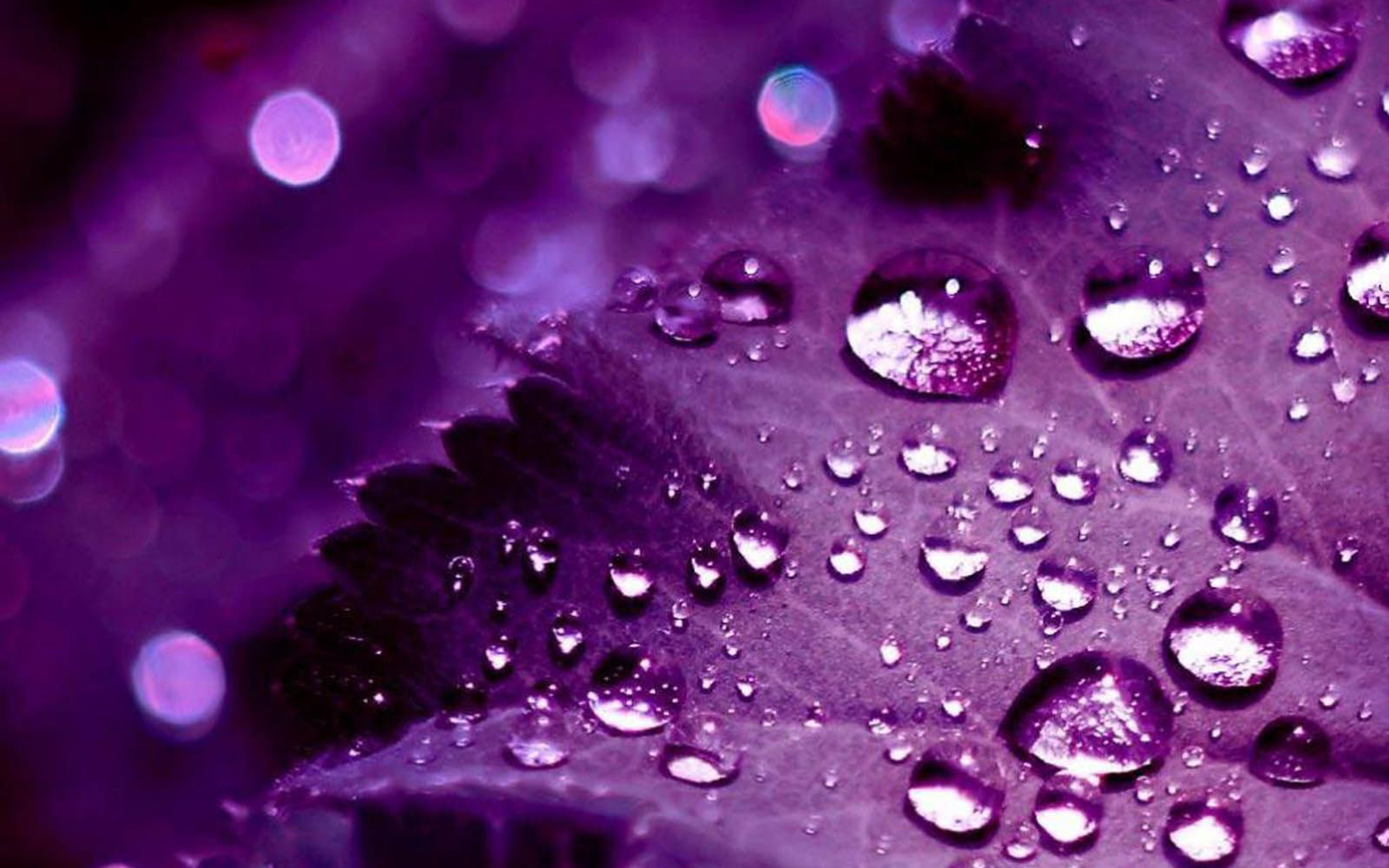 Cool Purple Wallpaper Wallpapers