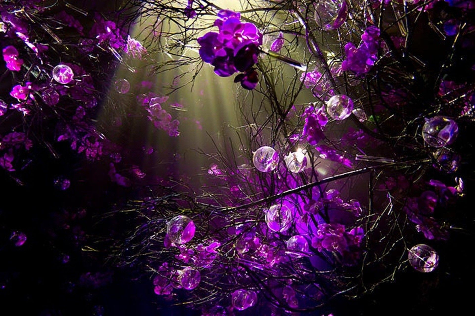 Cool Purple Wallpaper Wallpapers