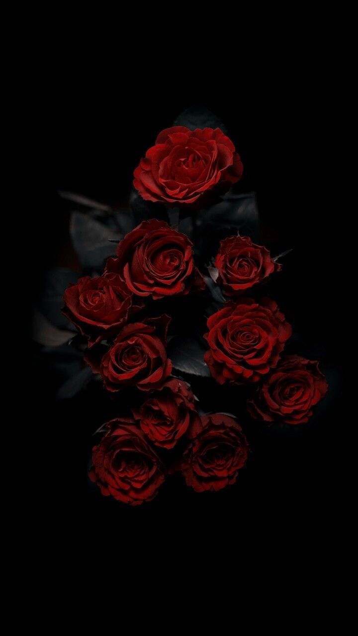 Cool Rose Wallpapers