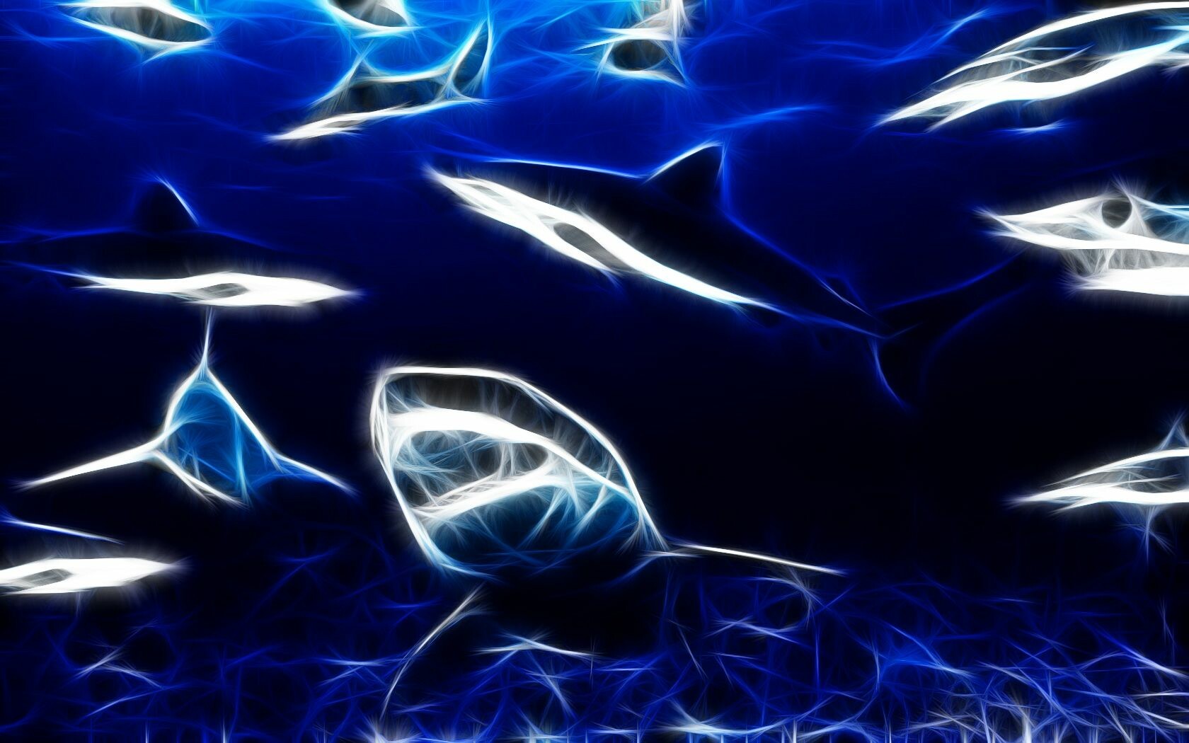 Cool Shark Wallpapers Wallpapers