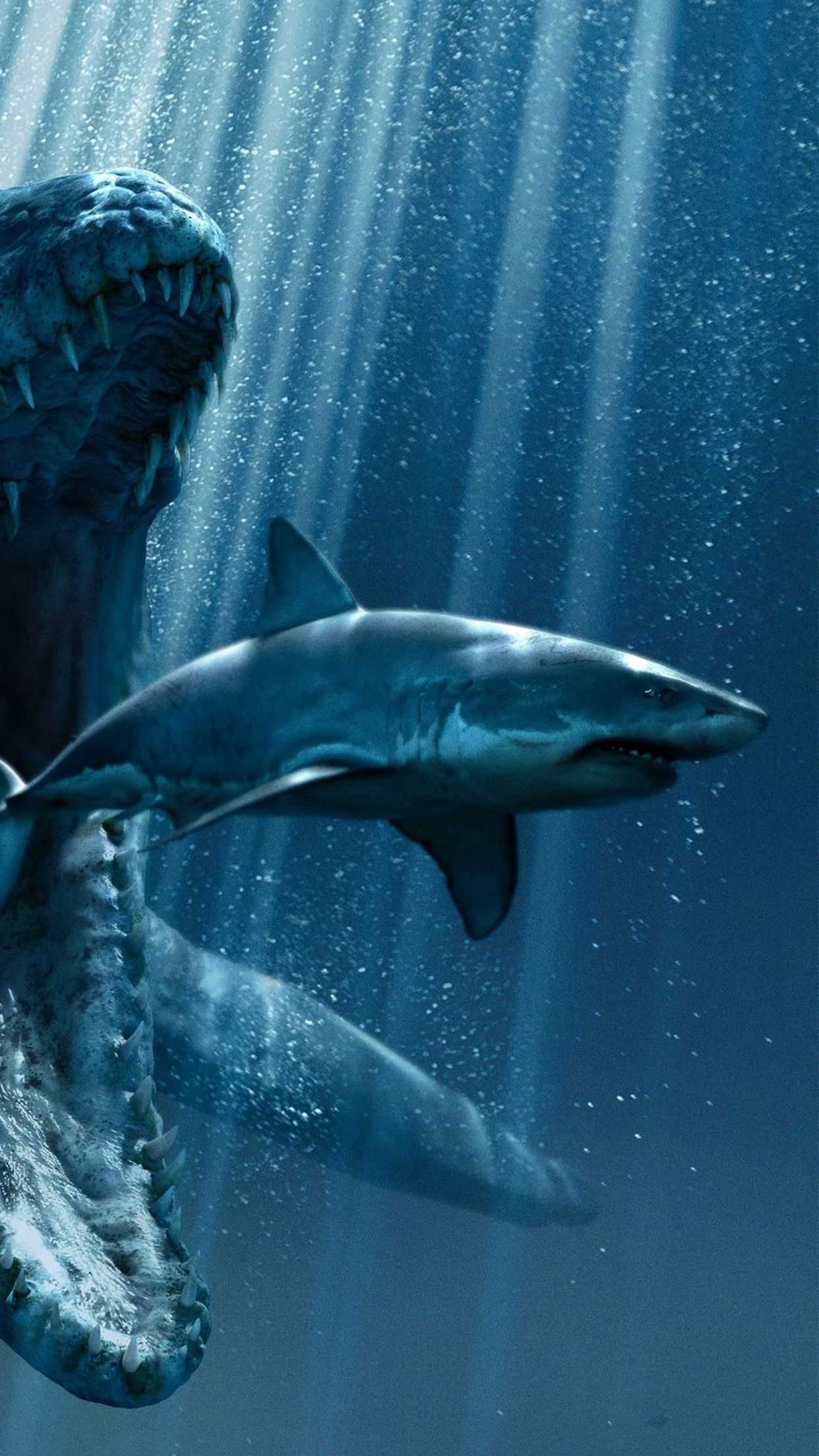 Cool Shark Wallpapers Wallpapers