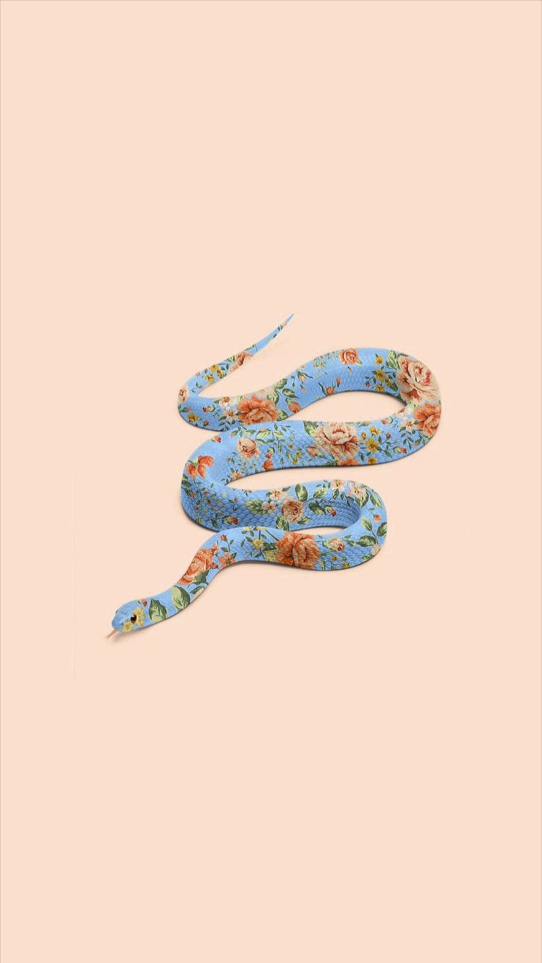 Cool Snake Wallpapers