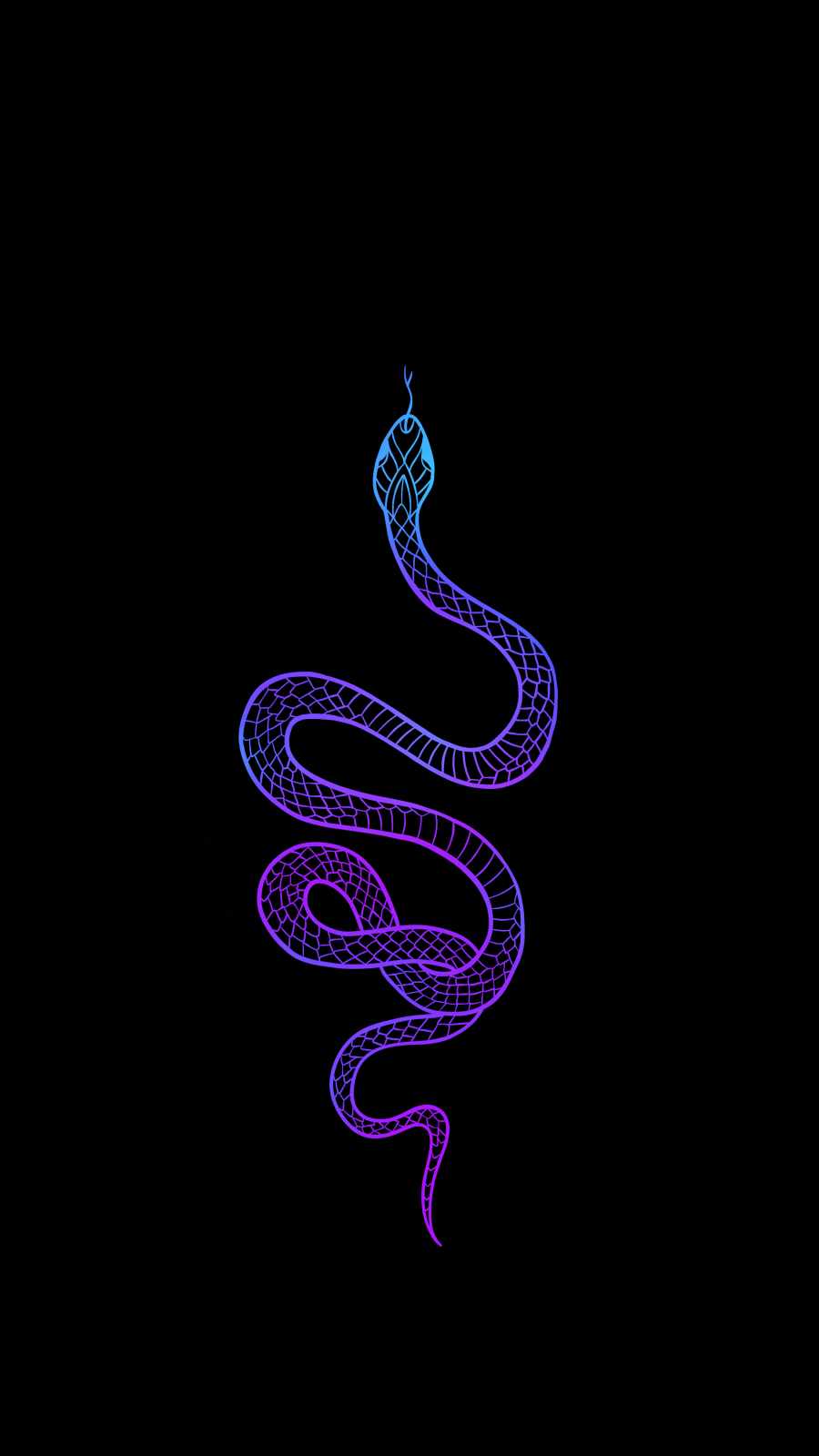 Cool Snake Wallpapers Wallpapers